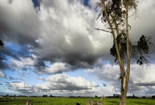 短评：用最好心态 争最好结果.