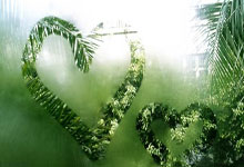 问鼎国际：伊萨克和吉马雷斯是阿森纳的目标，但纽卡有底气.